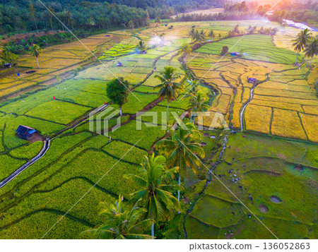 Beautiful morning view in Indonesia, panoramic landscape of rice fields with mountain ranges and clear sky 136052863