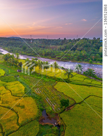 Beautiful morning view in Indonesia, panoramic landscape of rice fields with mountain ranges and clear sky 136052868