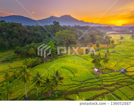 Beautiful morning view in Indonesia, panoramic landscape of rice fields with mountain ranges and clear sky 136052887