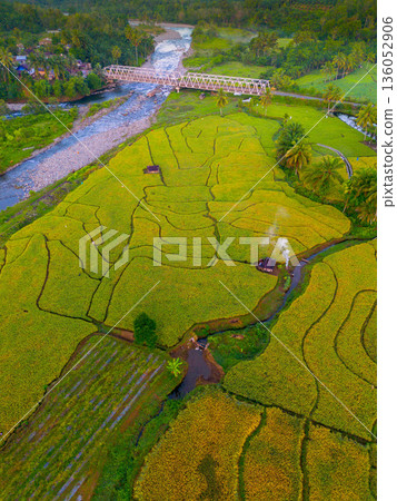 Beautiful morning view in Indonesia, panoramic landscape of rice fields with mountain ranges and clear sky Beautiful morning view in Indonesia, panoramic landscape of rice fields with mountain ranges and clear sky 136052906