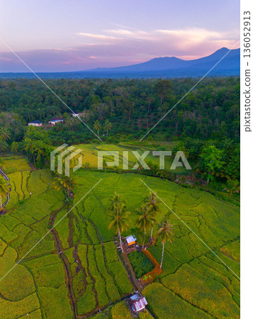 Beautiful morning view in Indonesia, panoramic landscape of rice fields with mountain ranges and clear sky 136052913