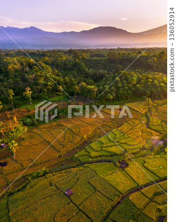 Beautiful morning view in Indonesia, panoramic landscape of rice fields with mountain ranges and clear sky Beautiful morning view in Indonesia, panoramic landscape of rice fields with mountain ranges and clear sky 136052914