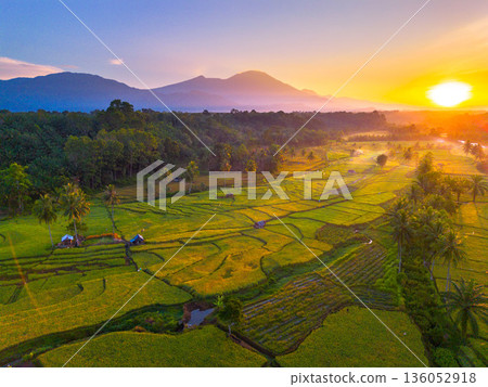 Beautiful morning view in Indonesia, panoramic landscape of rice fields with mountain ranges and clear sky 136052918