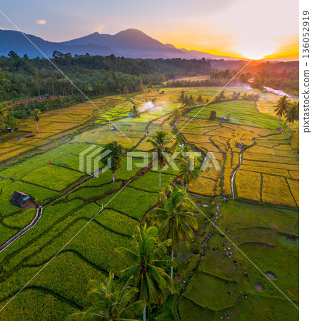 Beautiful morning view in Indonesia, panoramic landscape of rice fields with mountain ranges and clear sky 136052919