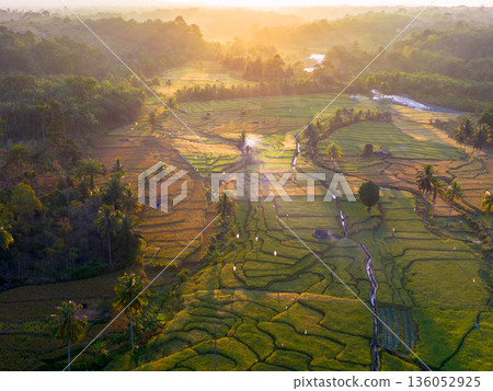 Beautiful morning view in Indonesia, panoramic landscape of rice fields with mountain ranges and clear sky 136052925
