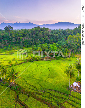 Beautiful morning view in Indonesia, panoramic landscape of rice fields with mountain ranges and clear sky 136052926