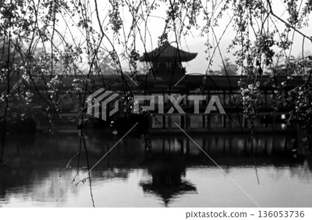 Old photo from 1957, Kyoto, Heian Shrine's Hashidono (Taiheikaku) and cherry blossoms Old photo from 1957, Kyoto, Heian Shrine's Hashidono (Taiheikaku) and cherry blossoms 136053736