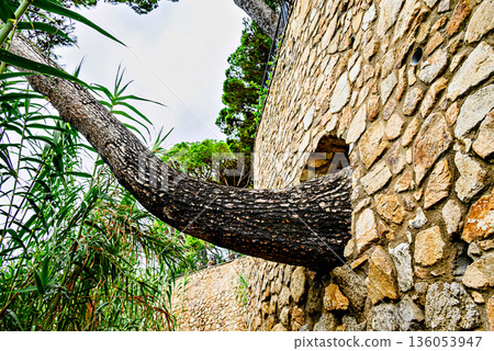 Beautiful seascape of the Cami de Ronda coastal path on the Costa Brava, from Platja d'Aro to Sant Antoni de Calonge. Cala del Pi 136053947