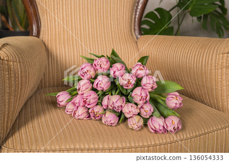 Pink tulips on a vintage chair with green foliage in the background 136054333