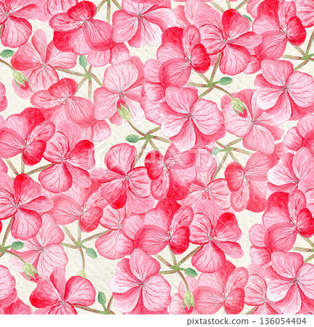 Red geranium flower seamless pattern. Hand-painted watercolor delicate petals and green buds. Perfect for wrapping paper, floral textile, wedding invitations, greeting cards, natural decor projects Red geranium flower seamless pattern. Hand-painted watercolor delicate petals and green buds. Perfect for wrapping paper, floral textile, wedding invitations, greeting cards, natural decor projects 136054404