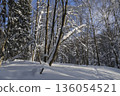 Winter forest, trees covered with fresh snow after snow falling. 136054521