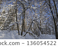 Winter forest, trees covered with fresh snow after snow falling. 136054522
