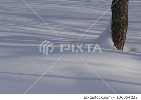 Winter forest covered with fresh snow. 136054822