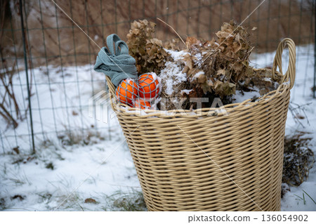 Wicker basket with dried flowers and citrus fruit in eco friendly winter garden Wicker basket with dried flowers and citrus fruit in eco friendly winter garden 136054902