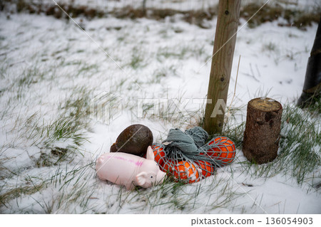 Winter still life with eco bag, citrus fruit, avocado and pig toy on snowy grass Winter still life with eco bag, citrus fruit, avocado and pig toy on snowy grass 136054903