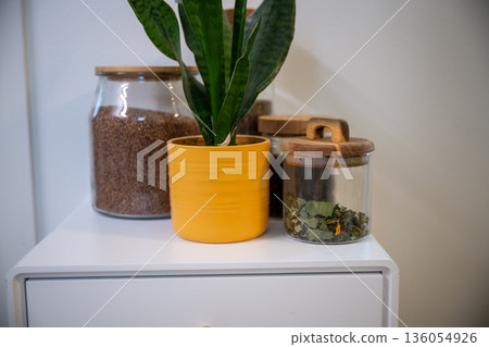 Minimal kitchen decor with potted plant and glass jars on white shelf 136054926