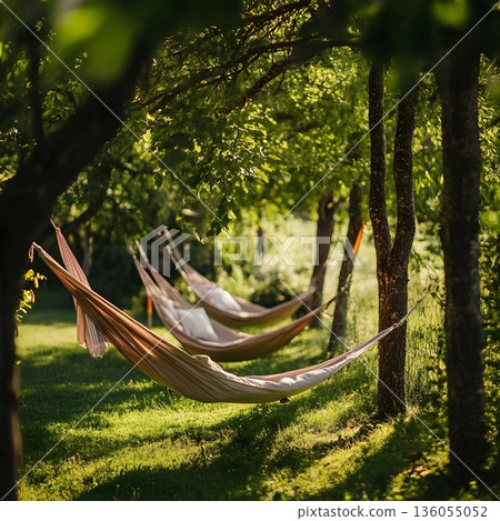 Soft hammocks hanging between verdant trees, offering peaceful relaxation and embracing natural serenity within a lush garden landscape 136055052