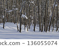 Winter forest covered with fresh snow. 136055074