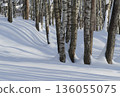 Winter forest covered with fresh snow. 136055075