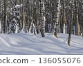 Winter forest covered with fresh snow. 136055076