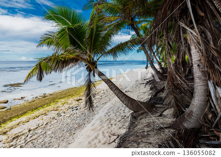 Tropical ocean beach with leaning coconut palm tree Tropical ocean beach with leaning coconut palm tree 136055082