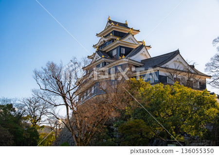 岡山市:漆黑的「岡山城(烏鴉城)」城堡塔樓高聳於藍天之上。 岡山市:漆黑的「岡山城(烏鴉城)」城堡塔樓高聳於藍天之上。 136055350