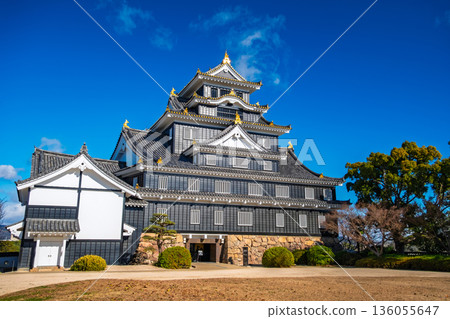 岡山城(鴉城)巍峨聳立於岡山市的藍天之下 岡山城(鴉城)巍峨聳立於岡山市的藍天之下 136055647