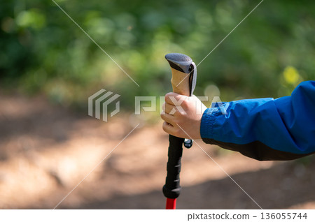 Childs hand holding a Nordic walking pole during a forest walk, symbolizing early outdoor activity and connection with nature 136055744