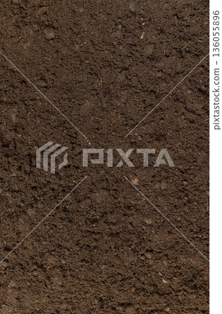 fertile soil mixed with various ingredients for growing seedlings , minerals and vitamins, humus and peat are added to the soil to improve growth and yield fertile soil mixed with various ingredients for growing seedlings , minerals and vitamins, humus and peat are added to the soil to improve growth and yield 136055896