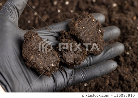 hold black fertile soil mixed with peat and chernozem to improve crop quality, part of the land that is used for seedlings and for mixing with less fertile land for agriculture hold black fertile soil mixed with peat and chernozem to improve crop quality, part of the land that is used for seedlings and for mixing with less fertile land for agriculture 136055910