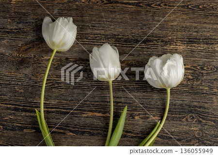 fresh white tulips lie on a black pine board, white spring tulips for decoration and other purposes on a wooden pine table fresh white tulips lie on a black pine board, white spring tulips for decoration and other purposes on a wooden pine table 136055949
