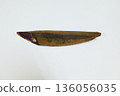 Japanese cuisine: Dried bonito flakes and kanna 136056035