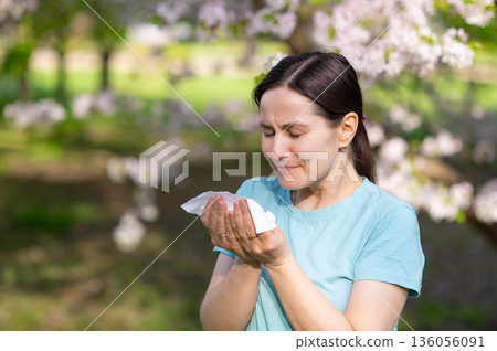 Woman sneezing into tissue in blooming garden, seasonal allergy symptoms during springtime Woman sneezing into tissue in blooming garden, seasonal allergy symptoms during springtime 136056091