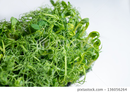 Fresh pea microgreens with dewdrops on delicate tendrils, placed on a light background. A vibrant and healthy ingredient rich in vitamins for salads, smoothies, and gourmet dishes Fresh pea microgreens with dewdrops on delicate tendrils, placed on a light background. A vibrant and healthy ingredient rich in vitamins for salads, smoothies, and gourmet dishes 136056264