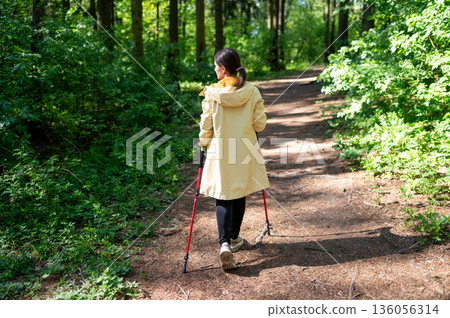 Rear view of a woman walking on a forest trail on a sunny day, practicing Nordic walking with poles in nature 136056314