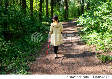 Rear view of a woman walking on a forest trail on a sunny day, practicing Nordic walking with poles in nature 136056315