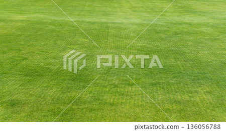 Perfect lawn on a golf course 136056788