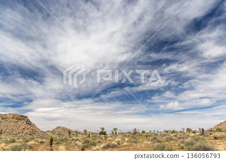 Fantastic landscapes of Joshua Tree Park 136056793