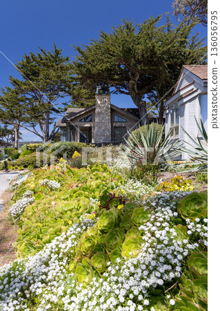 Oceanfront houses in Carmel by the Sea Oceanfront houses in Carmel by the Sea 136056795