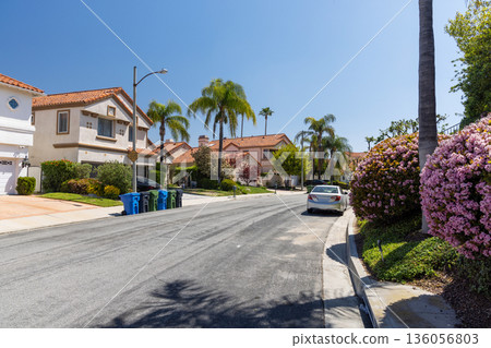 Suburban street with houses in the Los Angeles area 136056803