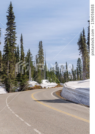 Snow covered road in Mount Rainier National Park surrounded by fir trees 136056888