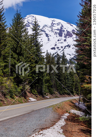 Scenic road in Mount Rainier National Park with fir trees on both sides and a snowy mountain Scenic road in Mount Rainier National Park with fir trees on both sides and a snowy mountain 136057016