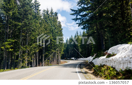 Scenic road in Mount Rainier National Park with fir trees on both sides and a snowy mountain Scenic road in Mount Rainier National Park with fir trees on both sides and a snowy mountain 136057057