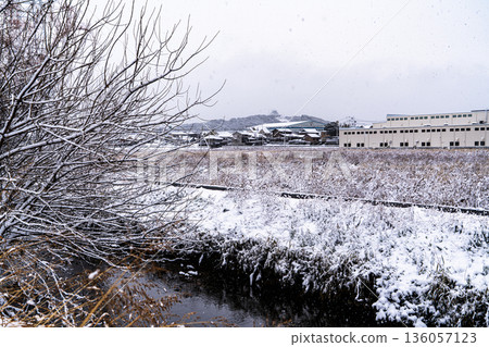 小牧市西部的雪景 136057123