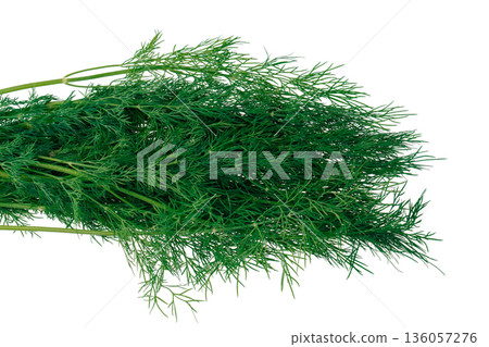 Dill greens on a white plate, cropped plan view from above, on a white background in isolation Dill greens on a white plate, cropped plan view from above, on a white background in isolation 136057276