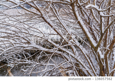 Winter scenery in the western part of Komaki City 136057562