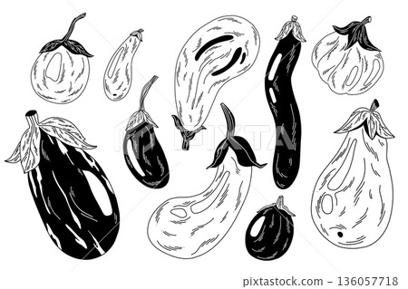 a collection of contour eggplants with white decorative lines 136057718