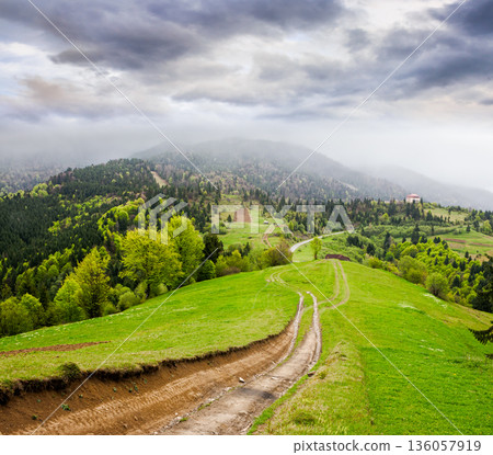 dirt road winding through green rolling hills. rural landscape in carpathian mountain range of ukraine. countryside vista under overcast sky in spring. synevyr parks and outdoors travel destination dirt road winding through green rolling hills. rural landscape in carpathian mountain range of ukraine. countryside vista under overcast sky in spring. synevyr parks and outdoors travel destination 136057919