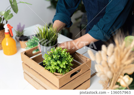 A person is arranging plants in a wooden crate 136057963