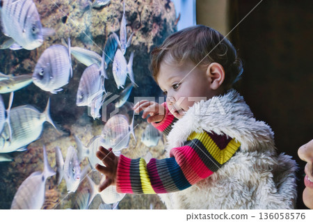 A little girl touching the glass of a fish tank at an aquarium, with tropical fish swimming 136058576